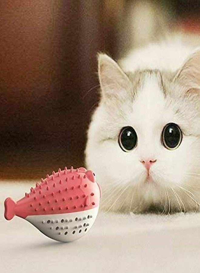 Pups&Pets Pet Cat Kitten TPR Puffer Fish Toothbrush Catnip Molar Soft Bite Chew Play Toy - Color May Vary - Image 2